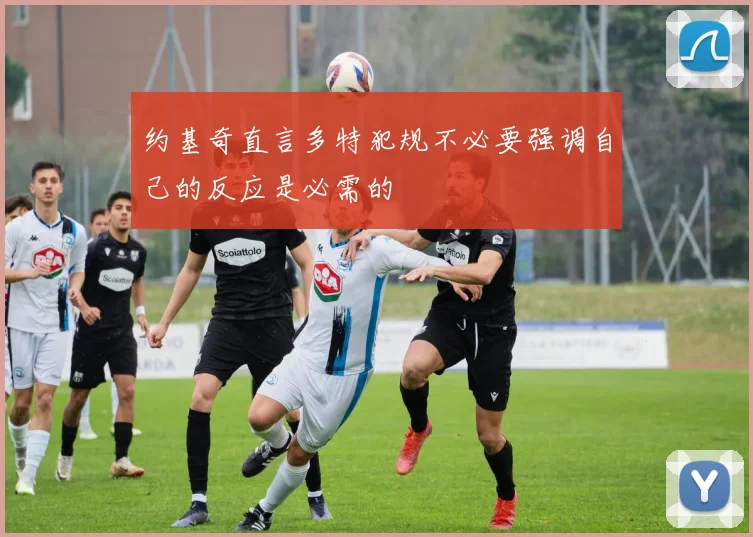 约基奇直言多特犯规不必要强调自己的反应是必需的