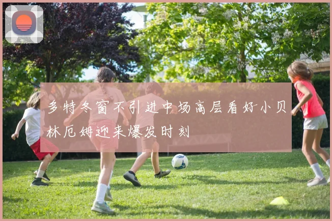 多特冬窗不引进中场高层看好小贝林厄姆迎来爆发时刻