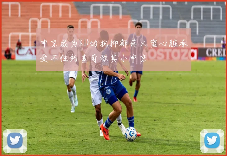 申京成为KD的抗抑郁药火蜜心脏承受不住约基奇称其小申京