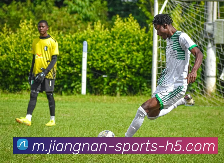 江南体育服务体系